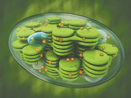 Τεχνητοί χλωροπλάστες σε σταγόνες