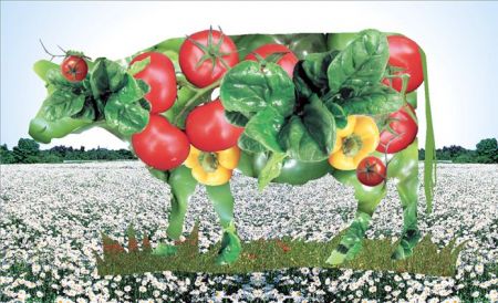 Έρευνα: Πρόθυμη η Ευρώπη – και η Ελλάδα – να αλλάξει τις διατροφικές της συνήθειες για να σώσει το περιβάλλον