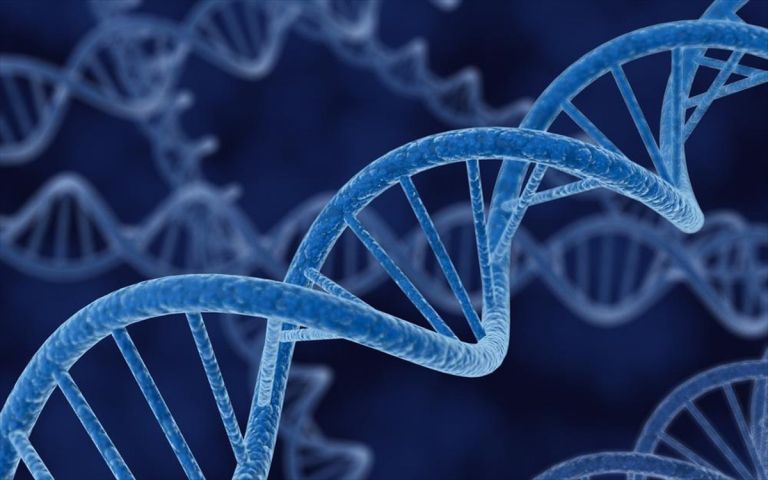 Μια στις τρεις Ευρωπαίες φέρει «γόνιμο» γονίδιο των Νεάντερταλ | tovima.gr