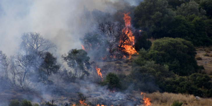 Ζάκυνθος: Απειλήθηκαν οι Μαριές από την μεγάλη πυρκαγιά που ξέσπασε χθες βράδυ