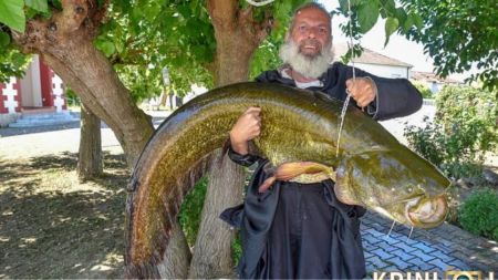 Ψάρι 35 κιλών «έβγαλε» ιερέας από τον Πηνειό ποταμό