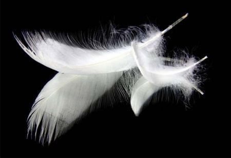 Το δεύτερο φτερό