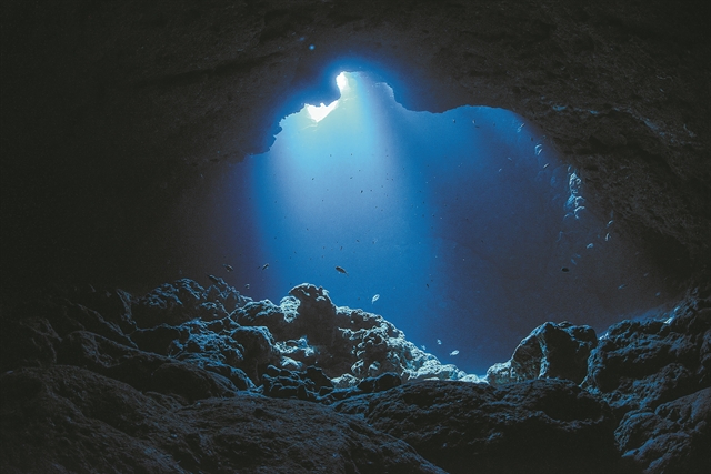 Ζωή στο πέτρινο έρεβος