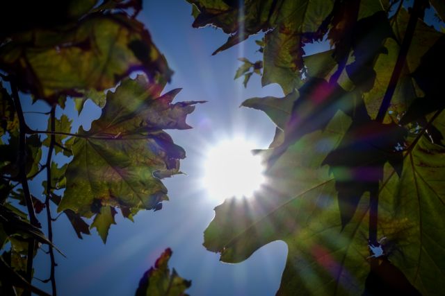 Άνοδος της θερμοκρασίας από Τρίτη – Πού θα αγγίξει τους 38 βαθμούς ο υδράργυρος
