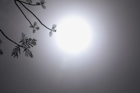 Στο κόκκινο ο «υδράργυρος» τις επόμενες ημέρες – Πότε υποχωρεί το κύμα ζέστης