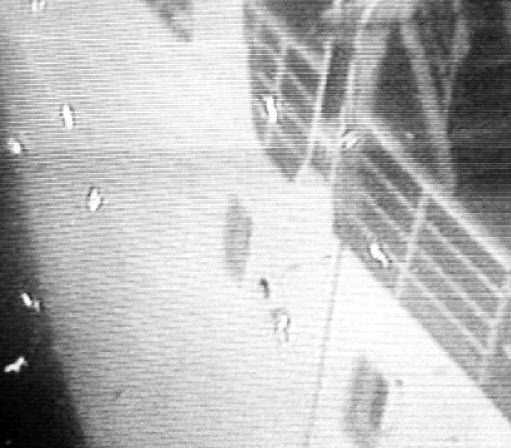 Ναυάγιο Σάμινα: Κρίσιμη συνάντηση τη Δευτέρα για τη ρύπανση 20 χρόνια μετά – Οι στόχοι