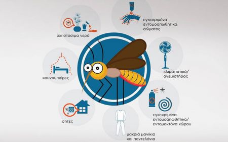 Κουνούπια: Όλα τα μέτρα προφύλαξης από τον ΕΟΔΥ – Πώς να τα αποφύγουμε στο σπίτι και στην εργασία