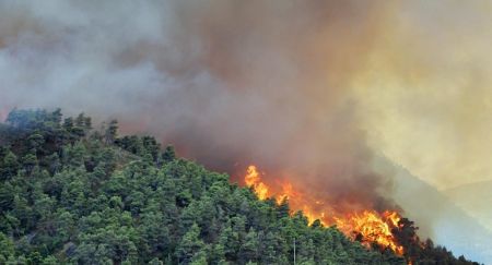 Κάτω Αχαΐα: Πυρκαγιά  σε αγροτοδασική έκταση