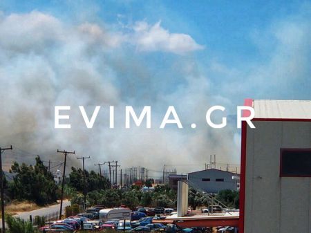 Φωτιά και στον Κάμπο Καρύστου- Ισχυρές πυροσβεστικές δυνάμεις στην περιοχή