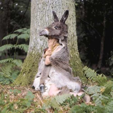 Γαϊδουροτόμαρο για όλες τις εποχές