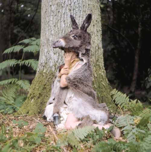 Γαϊδουροτόμαρο για όλες τις εποχές