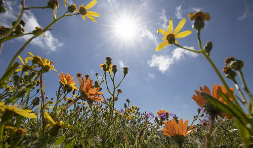 Καιρός : Ζεστό το Σάββατο με σποραδικές καταιγίδες