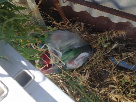 Μολότοφ και ξύλινα ρόπαλα έξω από το γήπεδο της ΑΕΚ