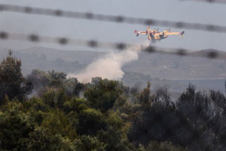 Πεταλίδι Μεσσηνίας: Πυρκαγιά σε αγροτοδασική έκταση