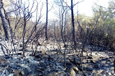 Λέσβος : Για δεύτερη ημέρα καίει η φωτιά στα βουνά της Θερμής