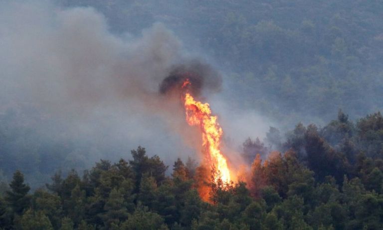 Πόρτο Γερμενό: Πυρκαγιά σε δασική έκταση