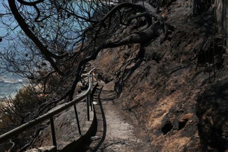 Αποκαλύψεις για το Μάτι: Καθυστερήσεις και παραλήψεις της Πυροσβεστικής