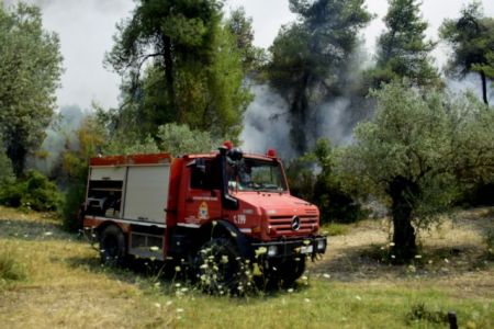 Πολύ υψηλός κίνδυνος πυρκαγιάς – Σε συναγερμό η Πολιτική Προστασία