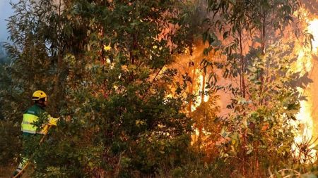 Πορτογαλία: Μάχη με τις φλόγες δίνουν οι πυροσβέστες