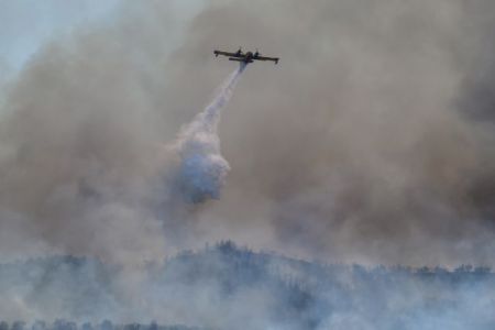 Πυρκαγιές σε Ηλεία και Κεφαλονιά – Συναγερμός στην Πυροσβεστική