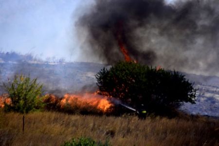 Σε εξέλιξη τα πύρινα μέτωπα στην Ηλεία – 54 φωτιές σε 24 ώρες