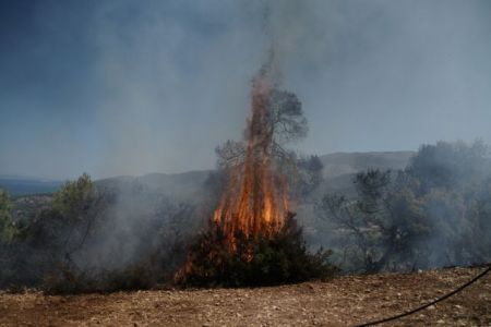 Κρήτη: Φωτιά στον Άγιο Νικόλαο – Μεγάλη μάχη με τις φλόγες