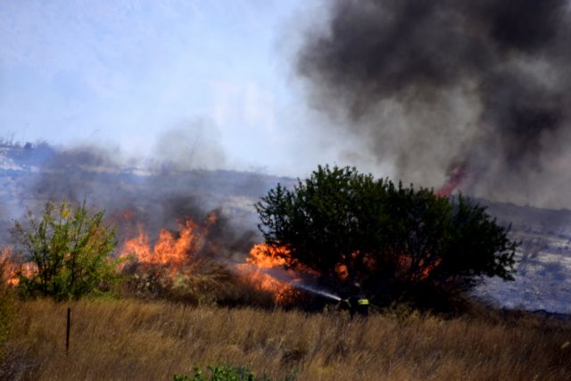 Πυροσβεστική: 51 δασικές πυρκαγιές το τελευταίο 24ωρο σε όλη την Ελλάδα