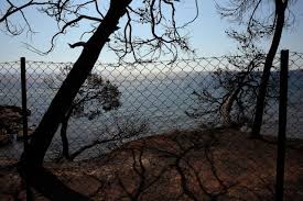 Μάτι: Στον ανακριτή σήμερα ο δήμαρχος Ραφήνας – Συνεχίζονται οι απολογίες