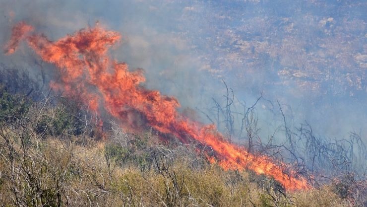 Ξέσπασαν 62 δασικές πυρκαγιές σε ένα 24ωρο