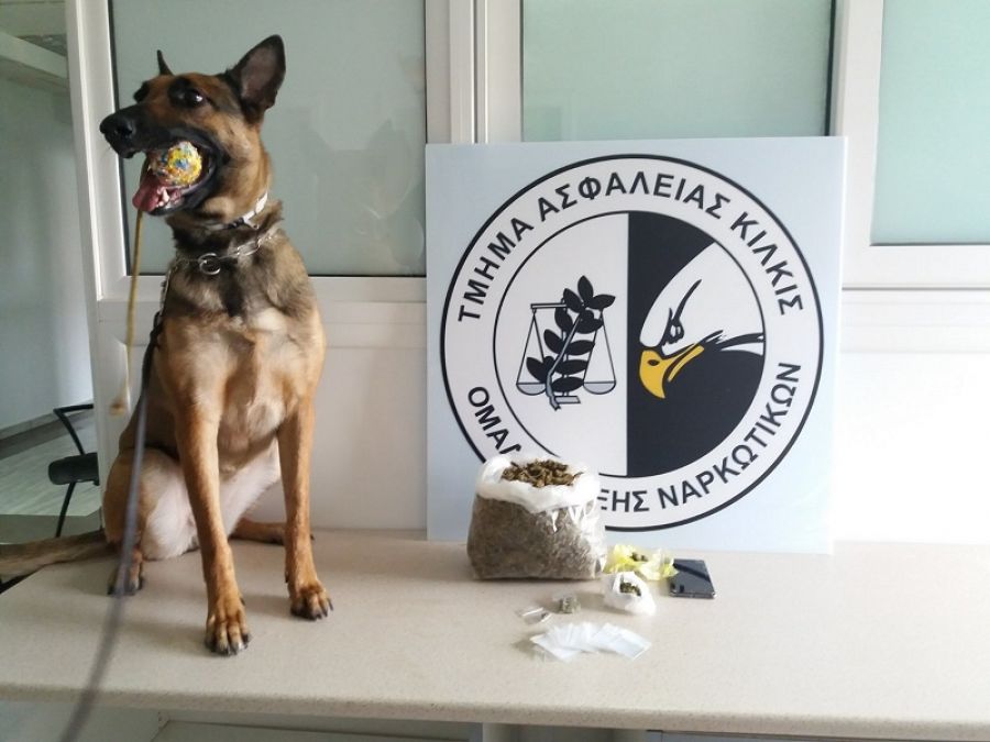 Θεσσαλονίκη: Η Minnie ξετρύπωσε κοκαΐνη σε σπίτι στην Ευκαρπία