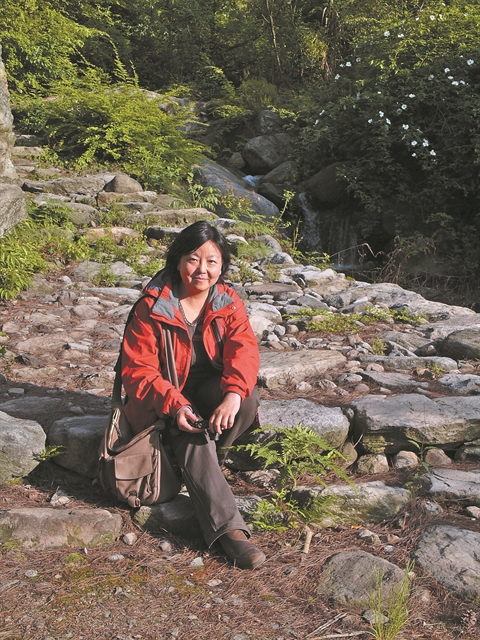 Η αρχή της πανδημίας