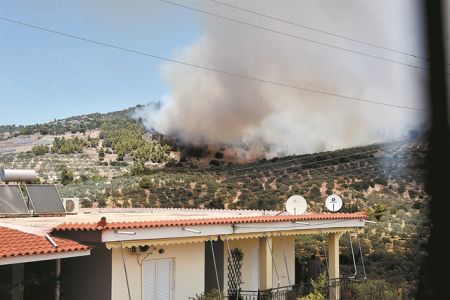 20.000 στρέμματα έγιναν στάχτη στην Κορινθία