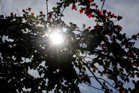 Καιρός: Ζέστη και μπόρες την Κυριακή