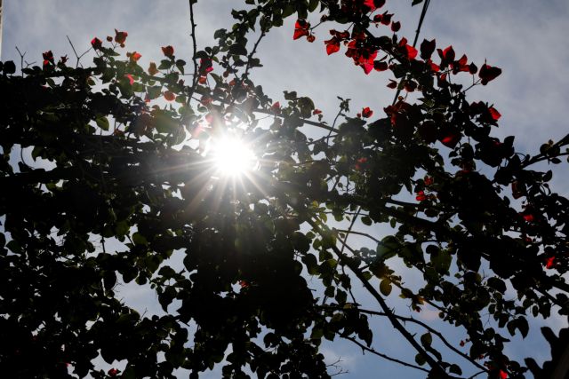 Καιρός: Ζέστη και μπόρες την Κυριακή