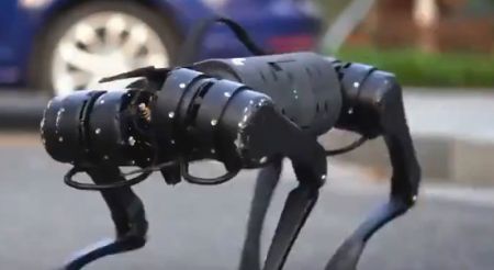 Μαρκ, ο πρώτος σκύλος ρομπότ