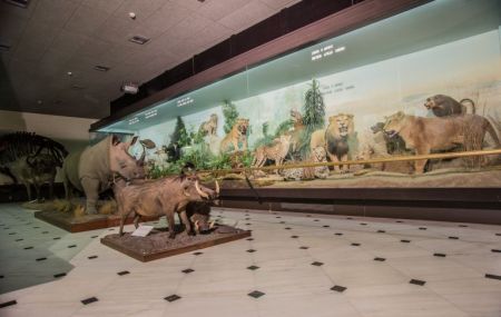 Φαλή Βογιατζάκη: «Οταν πιστέψουμε σε κάτι, μπορούμε να κάνουμε θαύματα»