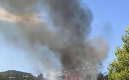 Οι πυροσβέστες οριοθέτησαν την πυρκαγιά στις Ροβιές Ευβοίας – Δεν απειλούνται κατοικίες