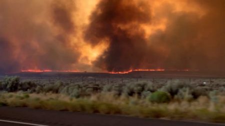 Καλιφόρνια: Σε κατάσταση έκτακτης λόγω πυρκαγιών και καύσωνα