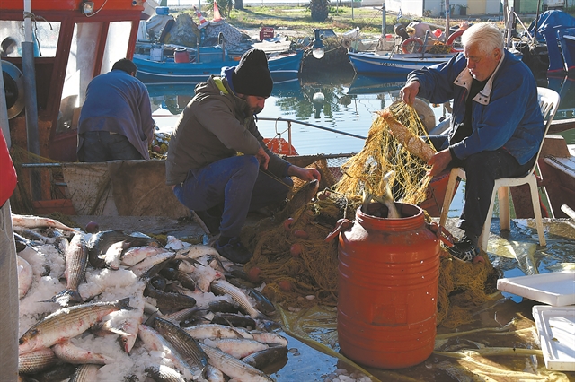Θερινή σαλάτα λέξεων – Ξέρουμε τι λέμε;