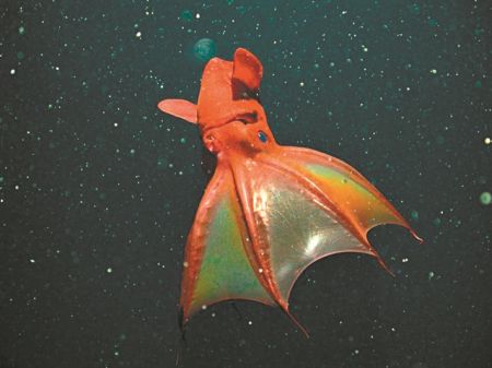 Κάτοικοι με χαρακτήρα και… υπερδυνάμεις!