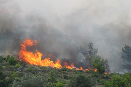 Καλύβια : Καίει σπίτια η ανεξέλεγκτη πυρκαγιά – Eκκενώθηκαν δύο οικισμοί