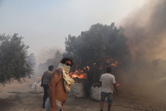 Ανάβυσσος: Υπό έλεγχο η πυρκαγιά – Ερευνα για εμπρησμό