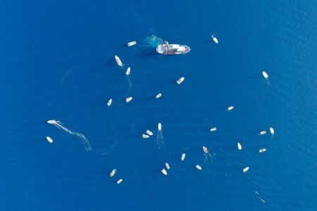 Ο Αυθεντικός Μαραθώνιος Κολύμβησης αναβίωσε 2.500 χρόνια μετά στο Αρτεμίσιο