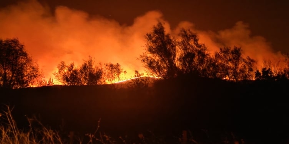 Έβρος : Έρευνα για τις φωτιές των τελευταίων ημερών – Εξετάζεται το ενδεχόμενο εμπρησμών