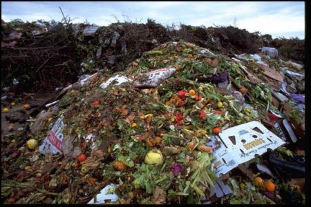 WWF: Στα σκουπίδια 88 εκατ. τόνοι τροφής, το χρόνο, στην Ευρώπη