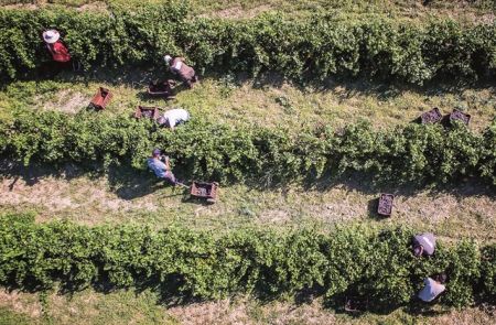 Προτεραιότητα στη «γεωργία ακριβείας» και στα ποιοτικά προϊόντα