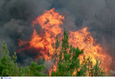 Φωτιά στην Πύλο : Επιχειρούν ισχυρές δυνάμεις της Πυροσβεστικής