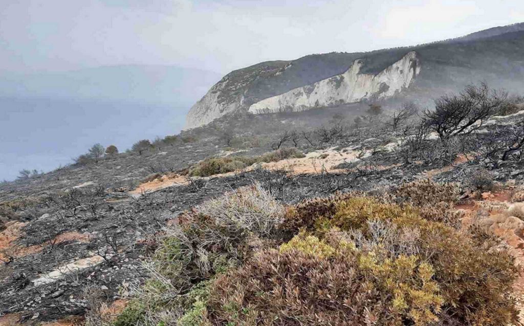 Ζάκυνθος: Οριοθετήθηκε η φωτιά – στάχτη το πευκόδασος πάνω από το Ναυάγιο