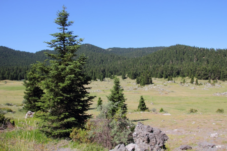Αρκαδία : Η καρδιά της Πελοποννήσου