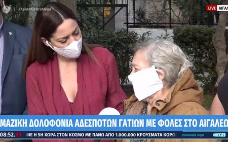 Αιγάλεω : Δηλητηρίασαν 11 γάτες – Συγκινεί η ηλικιωμένη που τις φρόντιζε